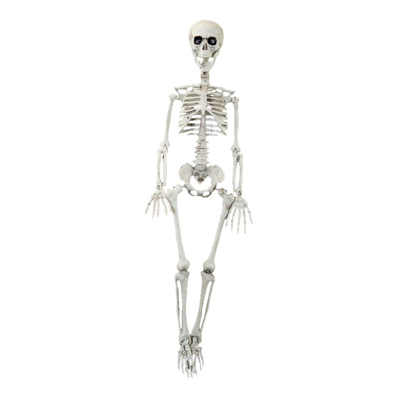 Skeleton, 90cm to hang, made of plastic