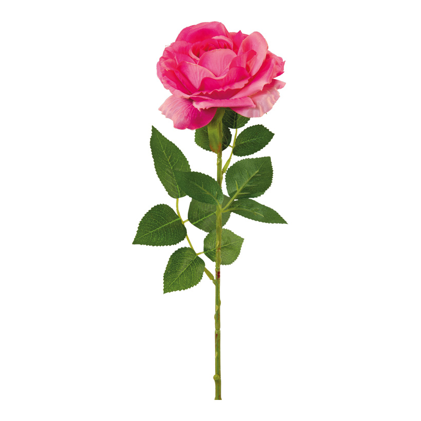 Rose am Stiel, 60cm Blüte Ø 11cm aus Kunstseide/Kunststoff