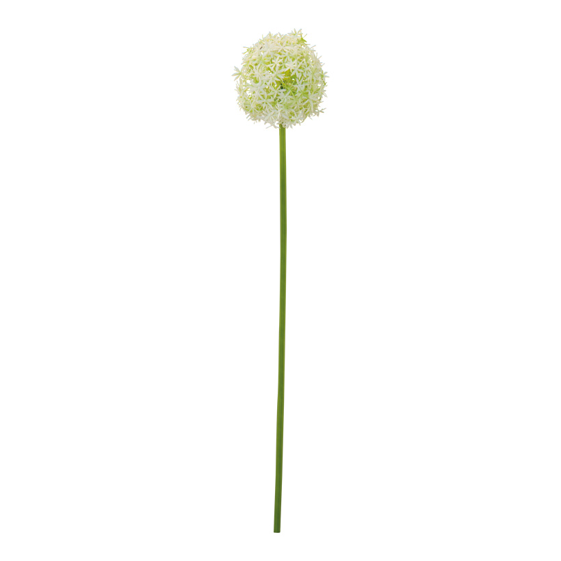 # Allium, 76cm  Ø 14cm out of plastic