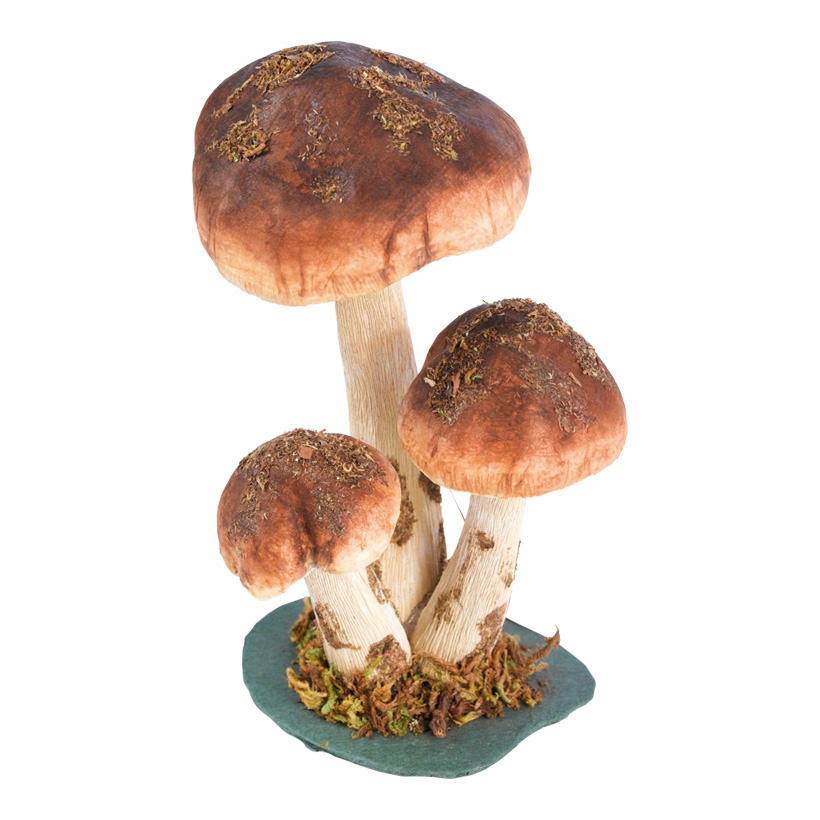 Birch boletus, 18cm, 3-fold, paper