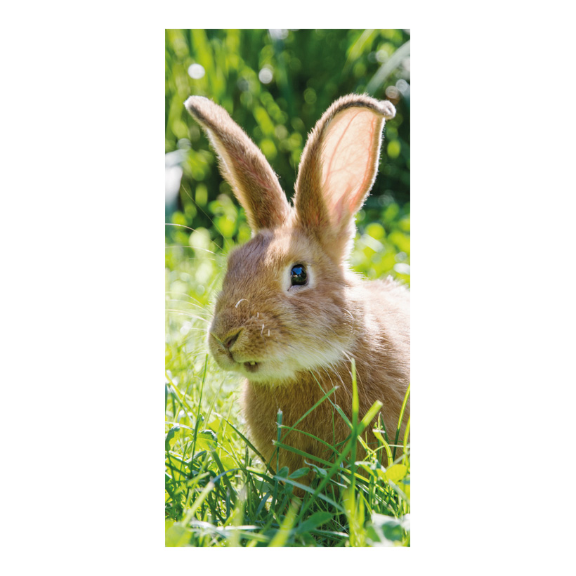 # Motivdruck "Hase", 180x90cm Stoff