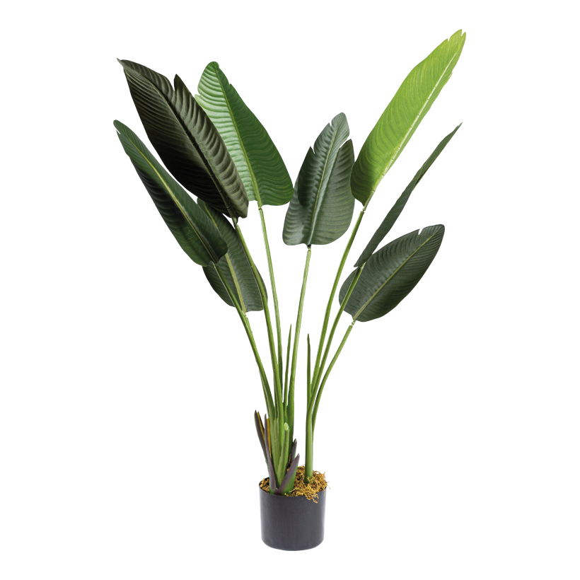 Bananenbaum im Topf, 120cm Topf: Ø 12,5cm 8 Blätter, aus Kunststoff