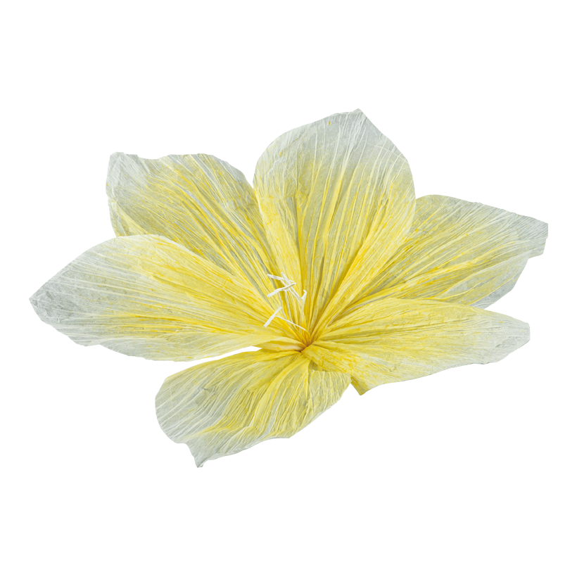 Flower head, Ø 60cm Stiel: 5cm out of paper, with short stem, flexible