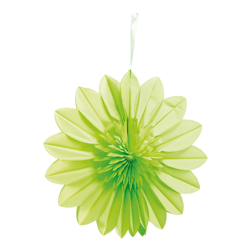 Flower rosette, 50cm out of paper, foldable, with hanger, self-adhesive
