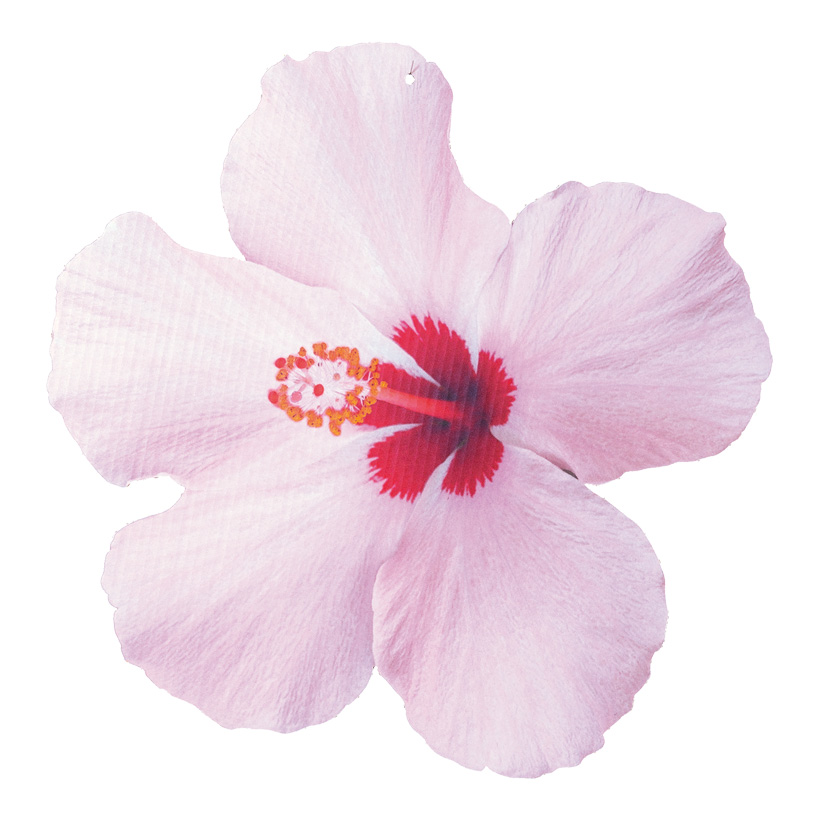 # Cut-out "hibiscus", 45x44cm, with foldable backside stand, made of cardboard