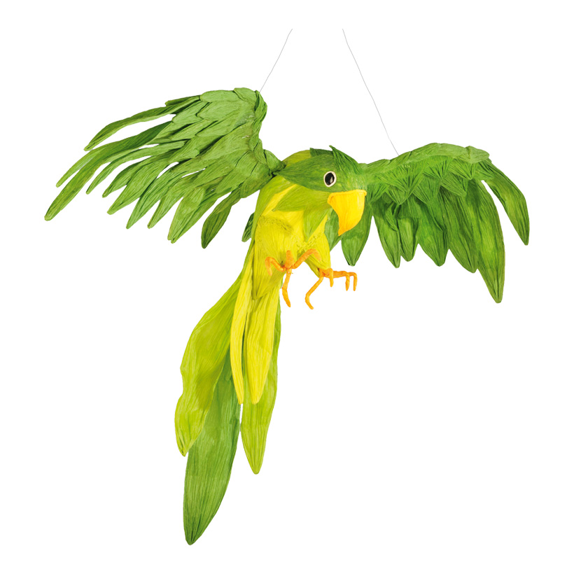 Parrot, 50x40cm, paper