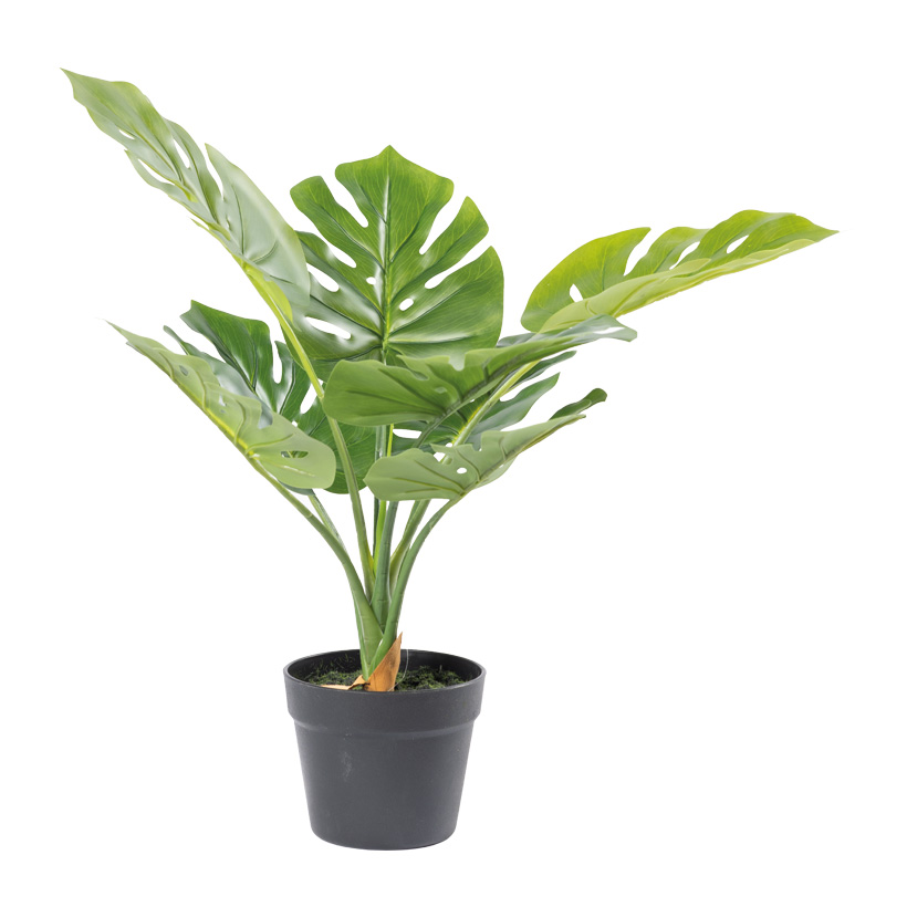 Monstera, 60cm Topf: Ø 15,5cm 8 Blätter, aus Kunststoff/Kunstseide