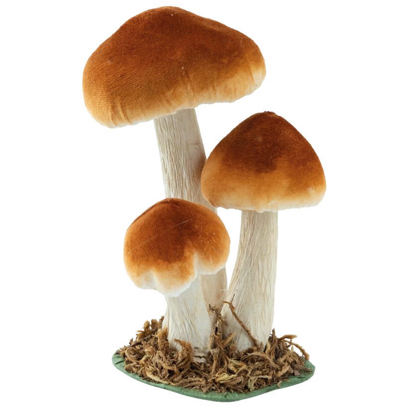 Boletus group, 17x12x9cm 3-fold, out of styrofoam