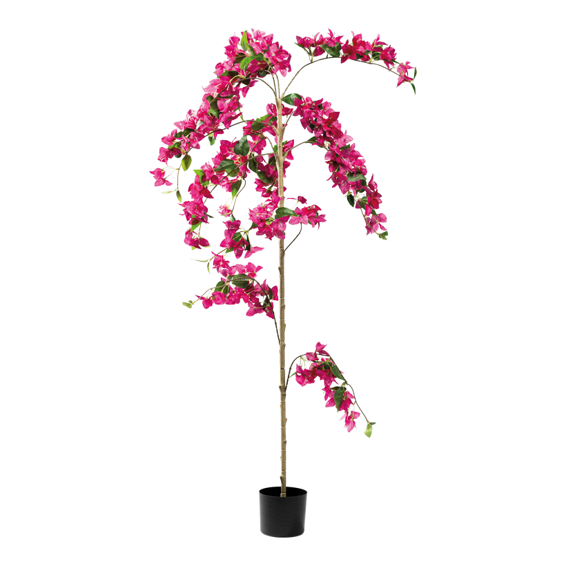 Bougainvillea tree, 160cm Topf: _ 15cm 3-parted, out of plastic/artificial silk