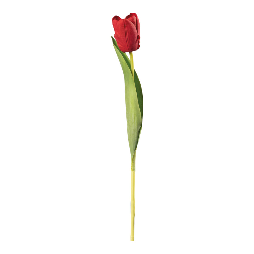 Tulpe am Stiel, 36cm Ø 4cm Blüte aus Kunststoff/Kunstseide, biegsam, Real-Touch Effekt