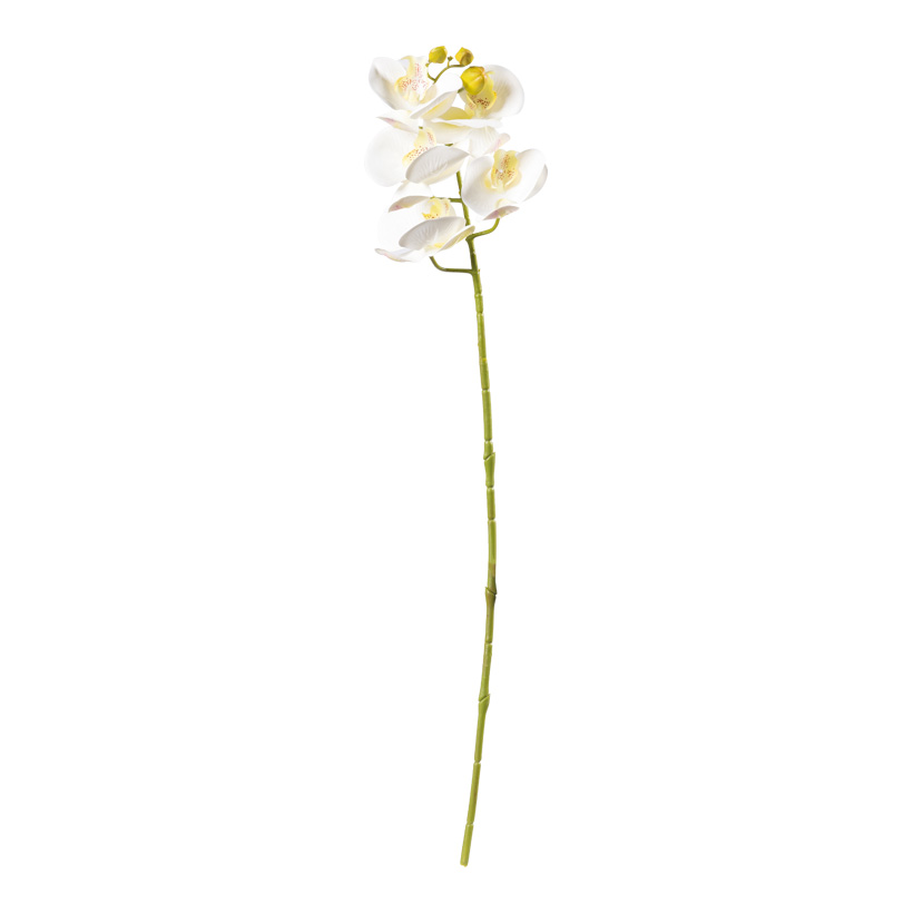 Orchidee, 71cm Stiel: 50cm mit 5 Blüten & Knospen, aus Kunstseide/Kunststoff, biegsam