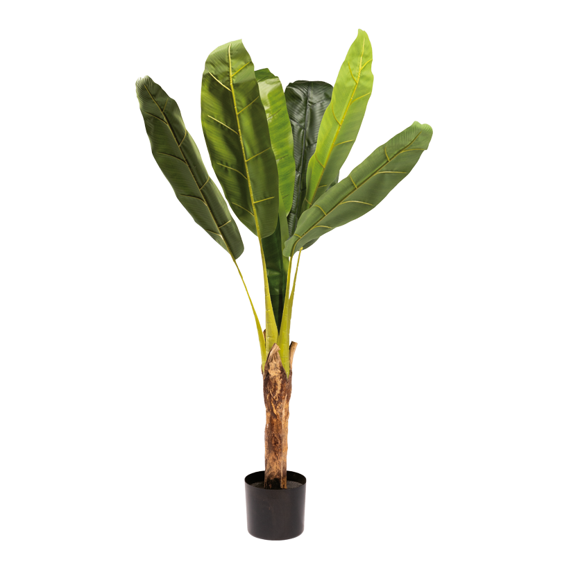 Banana plant with pot, 120cm Topf: Ø 14cm 2pcs out of plastic