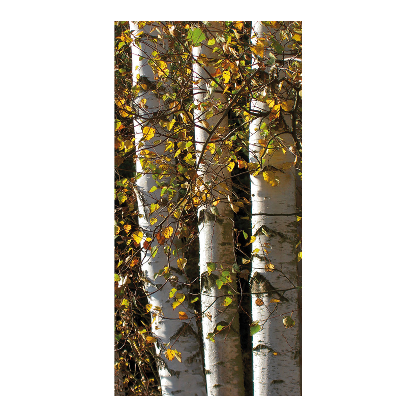 Banner Birch Trunks, 80x200cm fabric