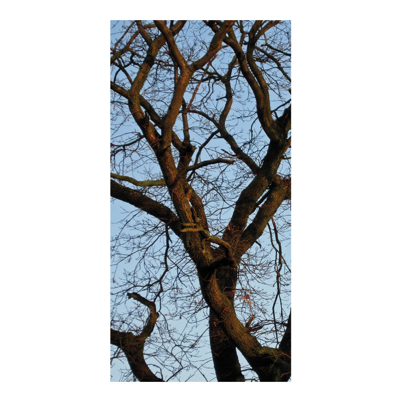 # Motivdruck "Kahle Baumkrone", 180x90cm Papier