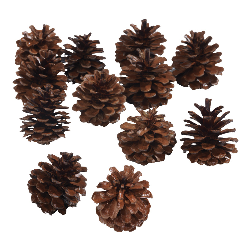 Fir cones, Ø 6cm, 12pcs./bag, real cones