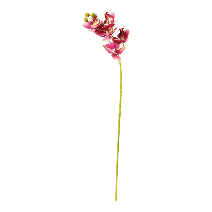 Orchidee, 71cm Stiel: 50cm mit 5 Blüten & Knospen, aus Kunstseide/Kunststoff, biegsam