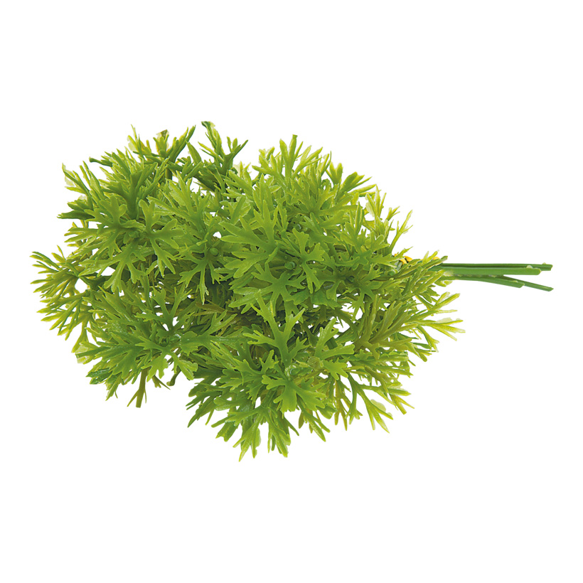 # Pick of parsley, 22x5cm, 12-fold, plastic