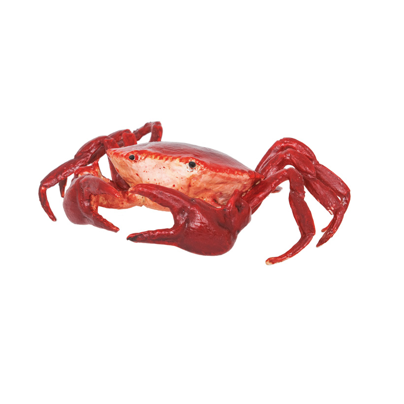 Crab, 22cm