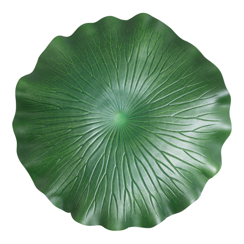 Feuille de nénufar, Ø 60cm, mousse