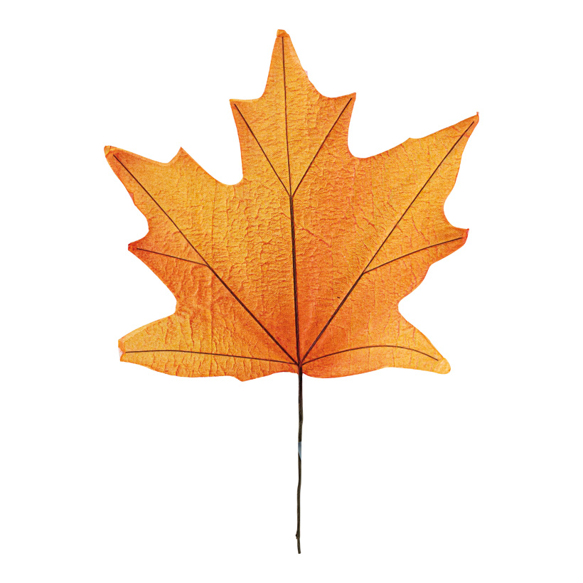 Maple leaf, 35x46cm Blattgröße: 34x30cm one-sided, out of paper