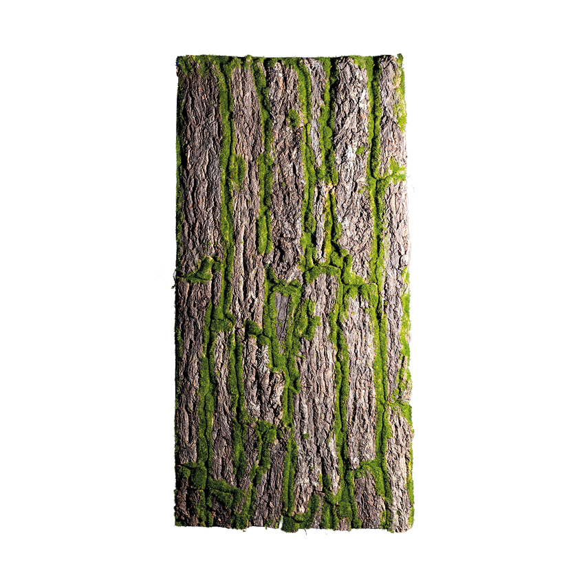 Bark plate, 100x50cm covered with moss, with real bark
