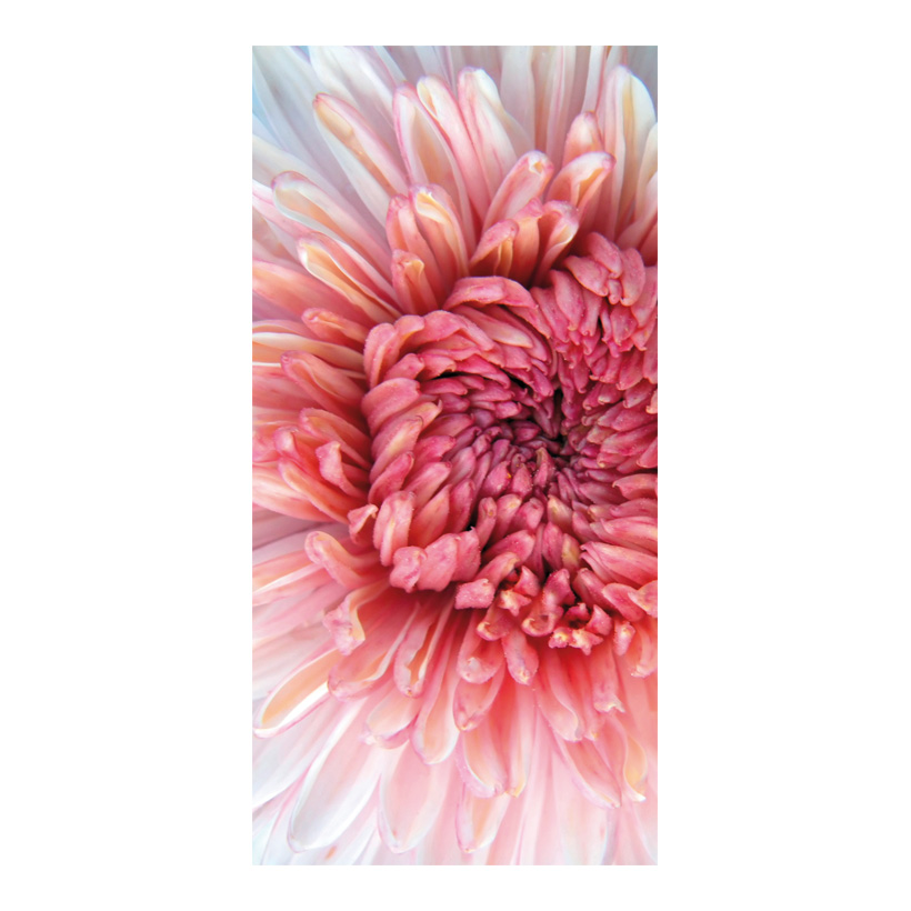 Banner Dahlia, 80x200cm fabric