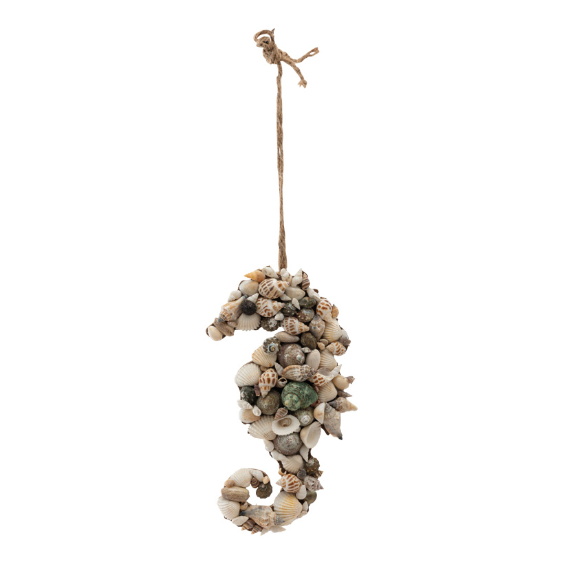 Seepferdchen, 25x13x3,5cm Hänger ca. 23cm aus MDF, mit echten Muscheln