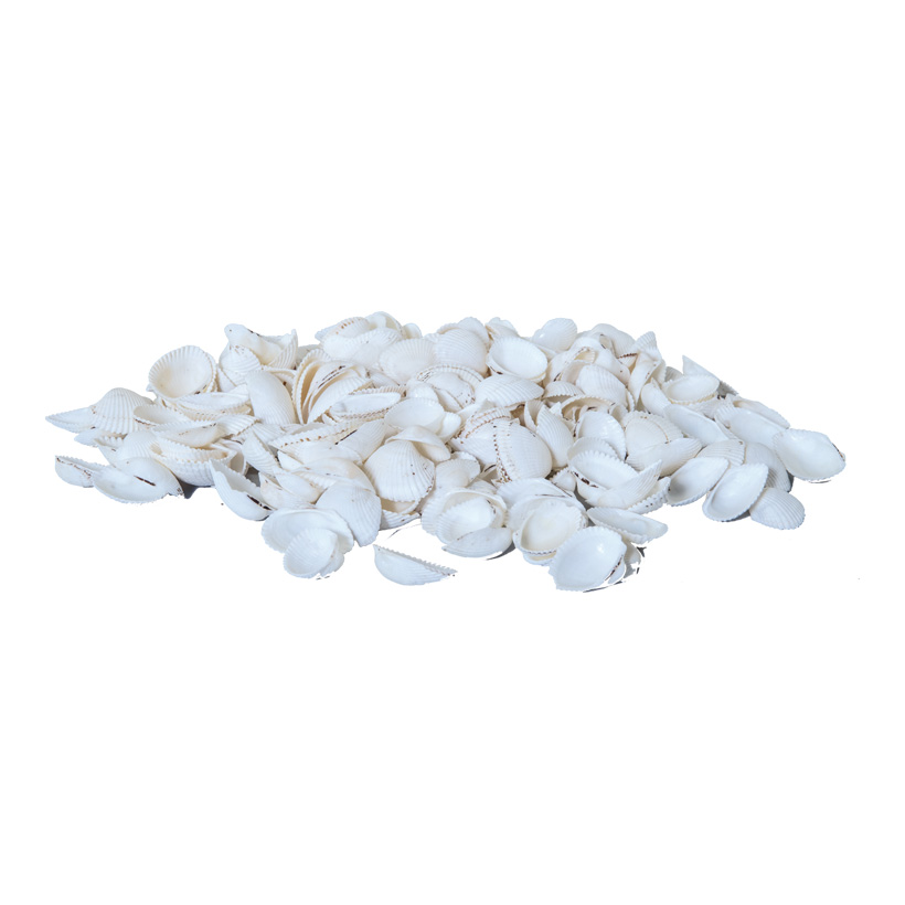 Muscheln im Netz, 2-3cm 300g