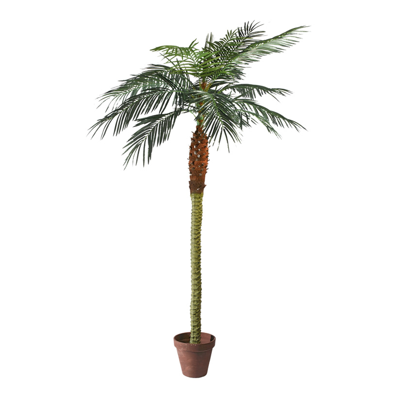 # Phoenix-Palme im Topf, 210cm, 14-fach, 782 Blätter, Kunststoff, Kunstseide