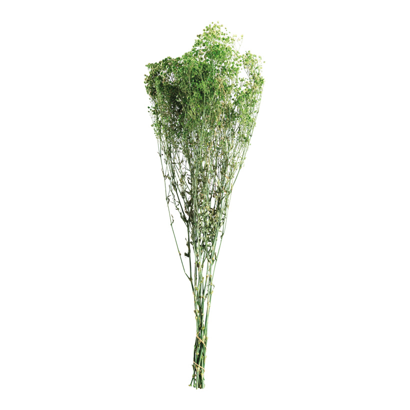 Bundle of dried flowers, 75-80cm ca. 120g out of styrofoam