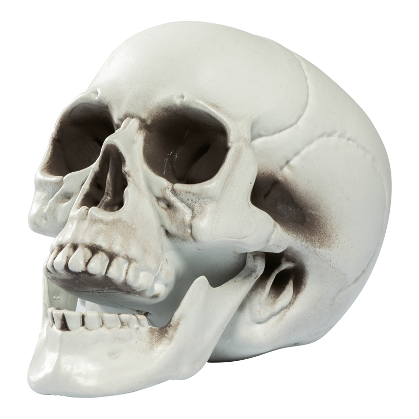 Skull head, 21x16x15cm out of plastic