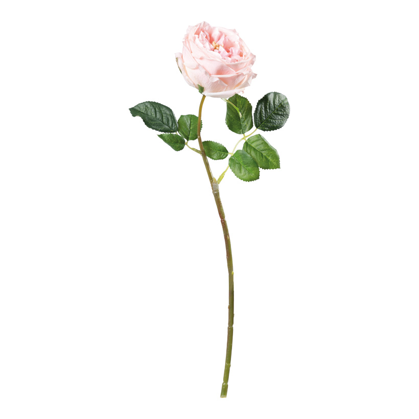 Rose, 45cm Stiel: 38cm aus Kunstseide/Kunststoff, biegsam, Real-Touch Effekt
