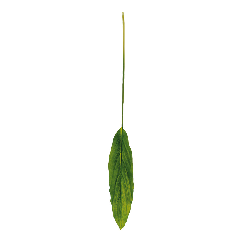 Dracaenablatt, 13cm breit, 100cm, mit Regentropfen, Kunstseide, am Stiel