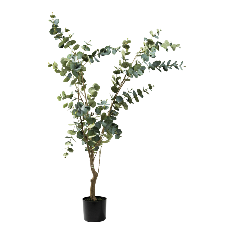 Eucalyptus tree, 160cm Topf: _ 15cm 3-parted, out of plastic/artificial silk