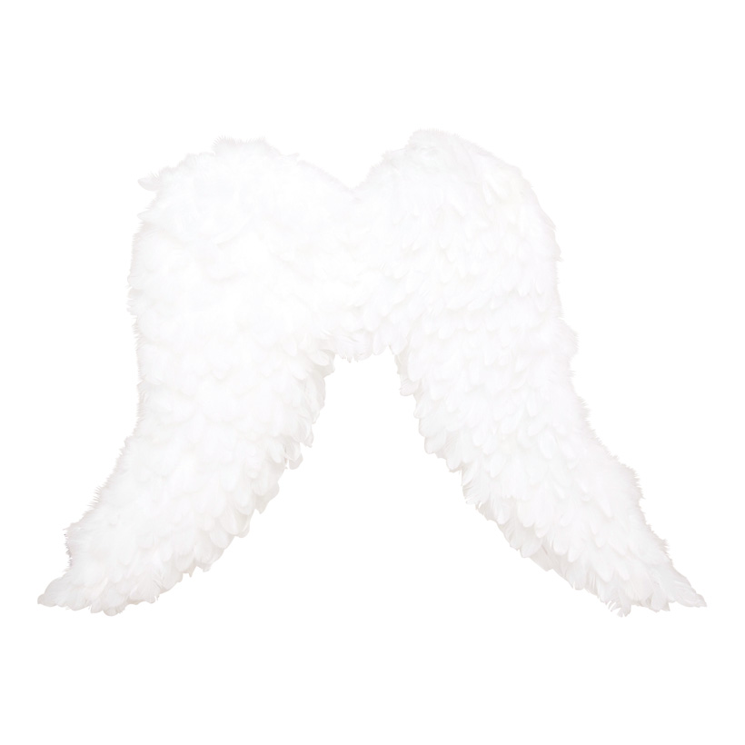 Angel wings, 70x50cm, real feathers
