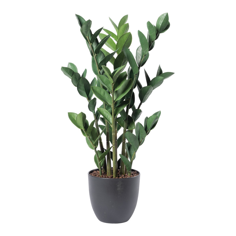 Zamioculcas zamiifolia Pflanze, 70cm Topf: Ø 17,5cm 84 Blätter, aus Kunststoff/Kunstseide