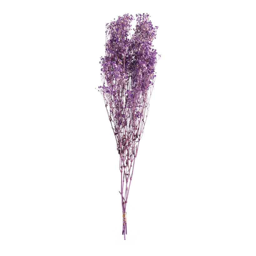 Trockenblumen-Bündel, 75-80cm ca. 120g