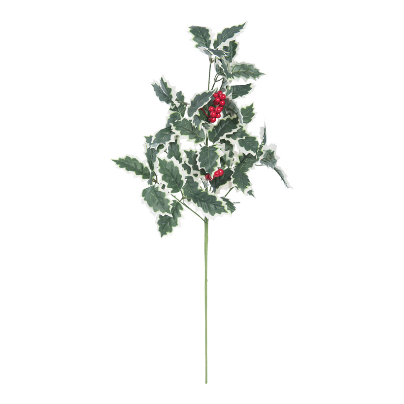 Holly twig, 60x28cm with berries