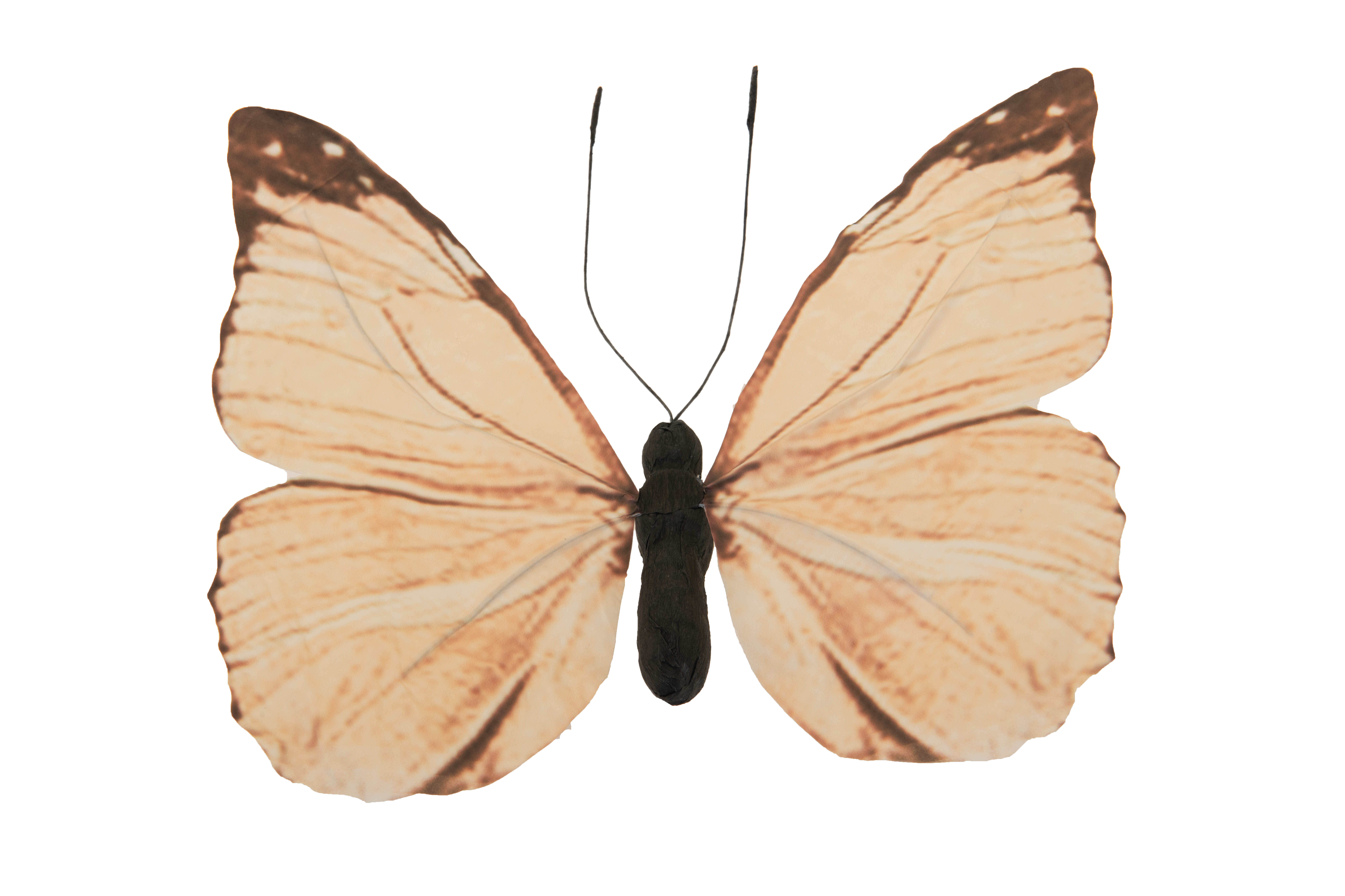 Schmetterling, 20x30cm aus Papier/Styropor, mit Draht für Befestigung