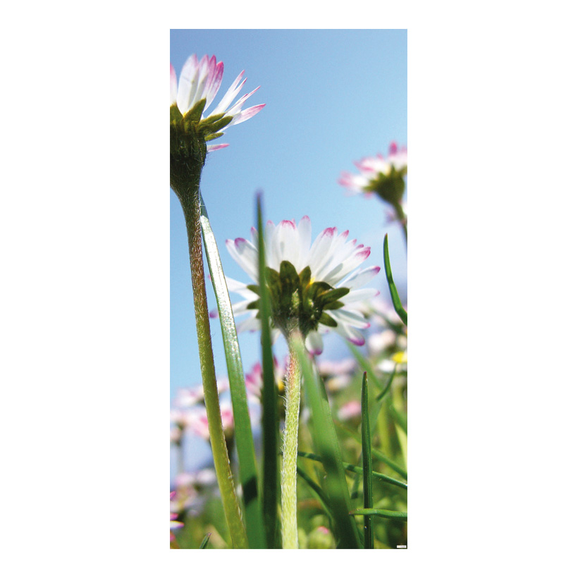 Banner Daisies, 80x200cm out of fabric