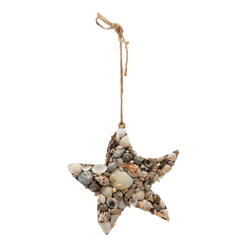 Seestern, 20x2cm Hänger ca. 23cm aus MDF, mit echten Muscheln