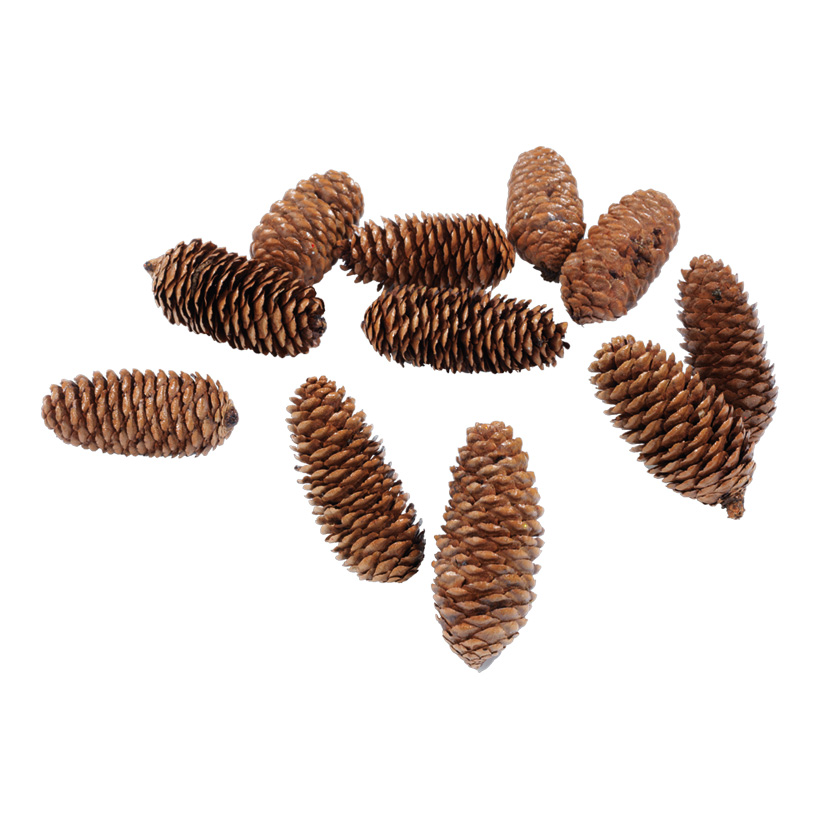 Tannenzapfen, Ø 9cm, 12Stck./Btl., echte Zapfen