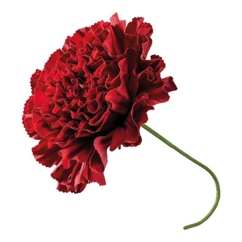 Flower head umbrella, 80cm _ 60cm, Komplettlänge: 100cm out of foam, with 40cm stem, bendable