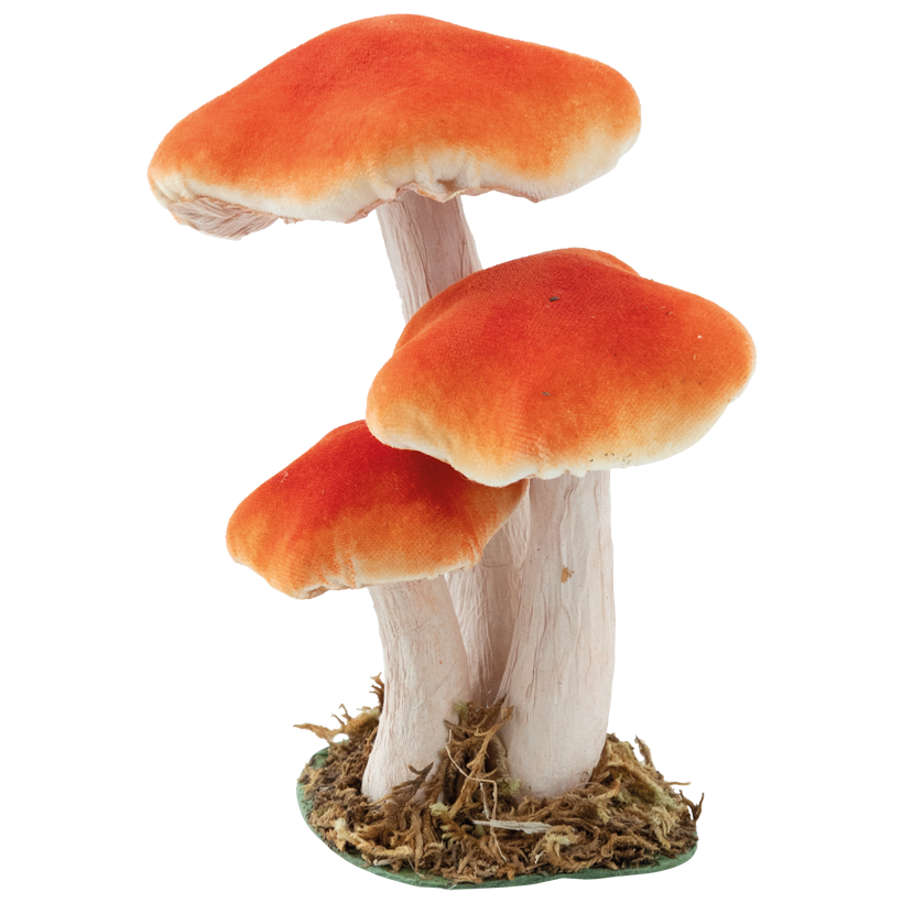 Mushroom group, 17x14x11cm 3-fold, out of styrofoam