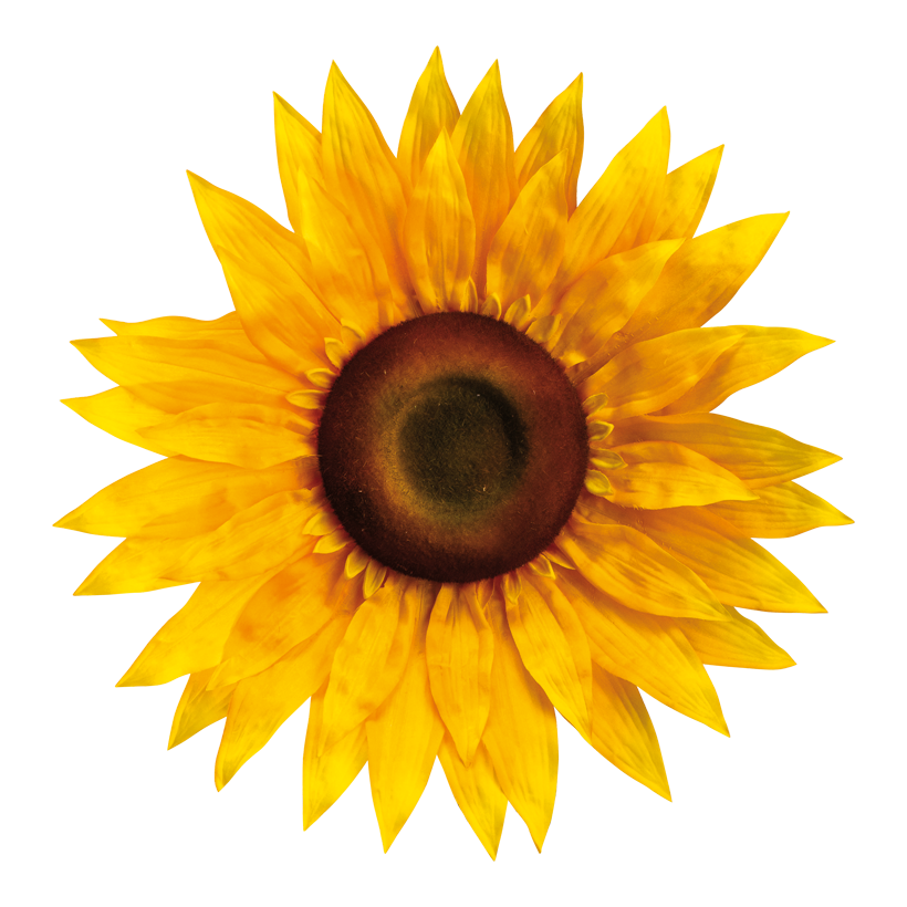 Sunflower head, ⌀ 50cm out of artificial silk, flexible