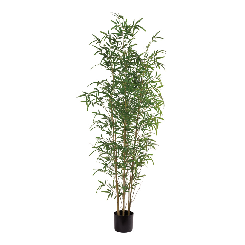 Bambus-Baum, 180cm Topf: Ø17,5cm 1674 Blätter, aus Kunststoff/Kunstseide