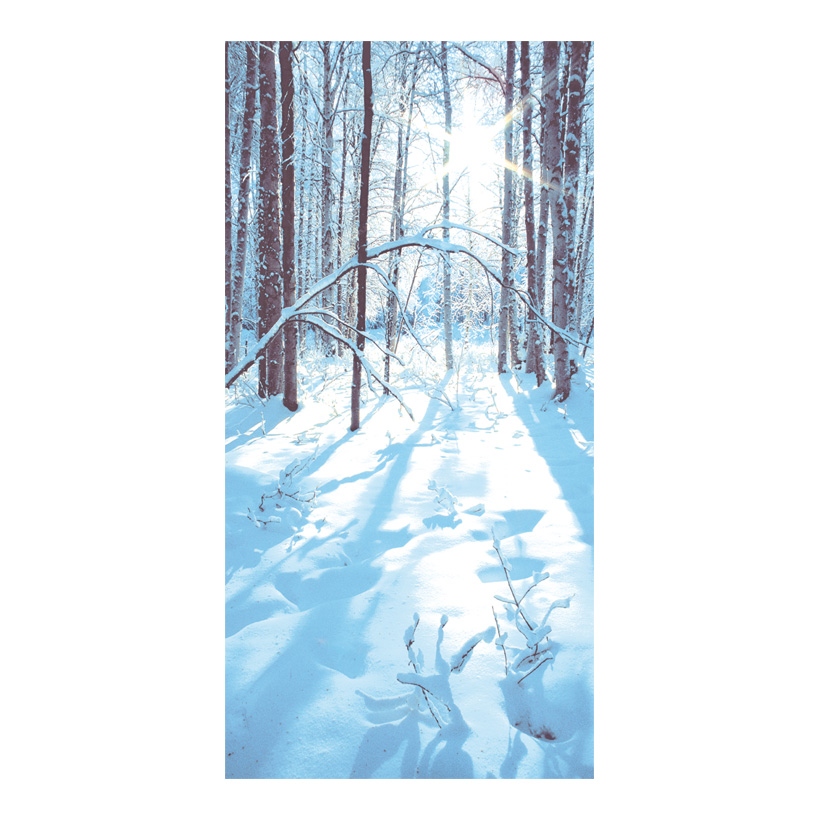 Motivdruck Sonniger Winterwald, 80x200cm Papier