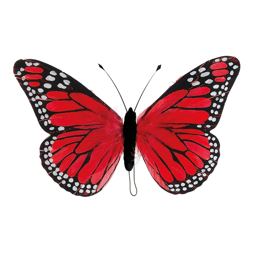 # Schmetterling 18x30 cm Federn