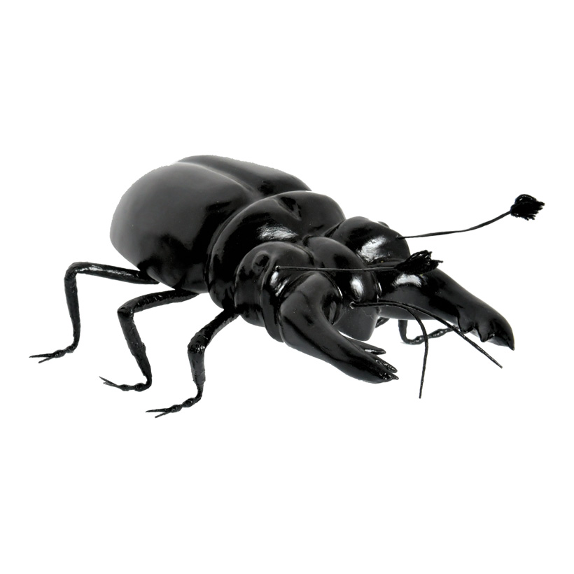 Stag beetle, 25x12x8cm made of styrofoam