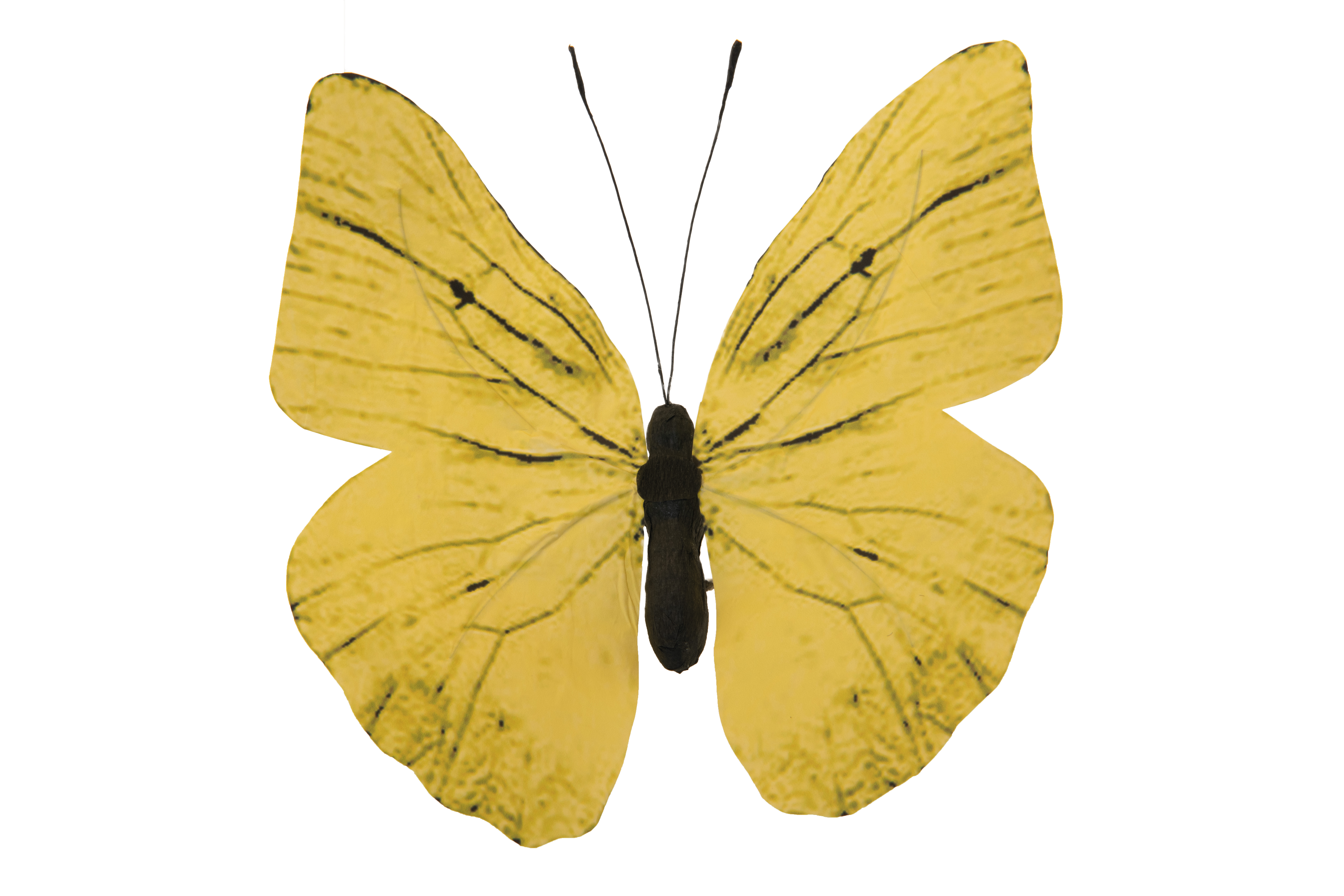 Schmetterling, 20x30cm aus Papier/Styropor, mit Draht für Befestigung